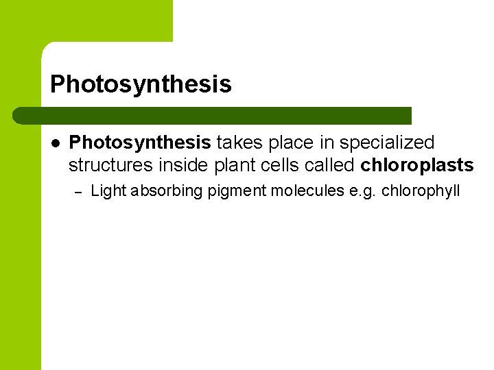 Photosynthesis l Photosynthesis takes place in specialized structures inside plant cells called chloroplasts –