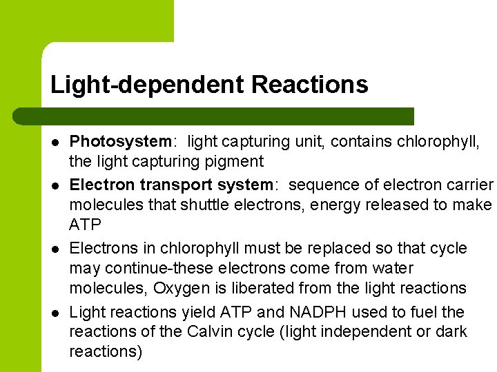 Light-dependent Reactions l l Photosystem: light capturing unit, contains chlorophyll, the light capturing pigment