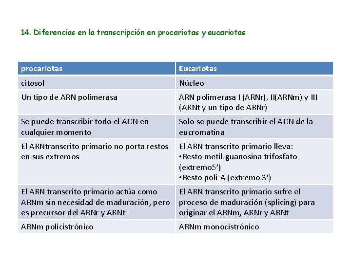 14. Diferencias en la transcripción en procariotas y eucariotas procariotas Eucariotas citosol Núcleo Un