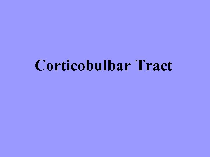 Corticobulbar Tract 