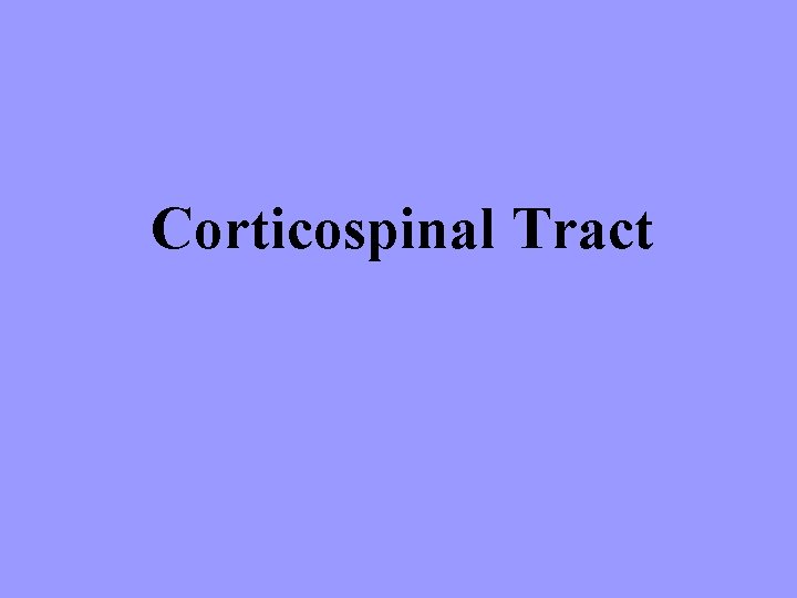 Corticospinal Tract 