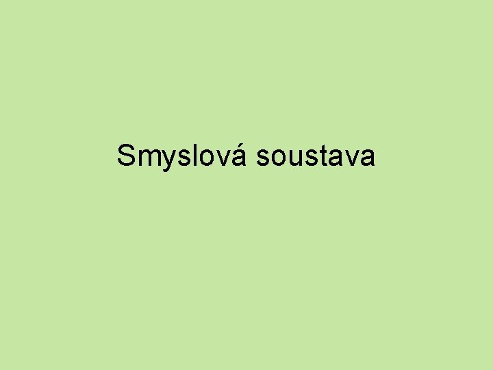 Smyslová soustava 