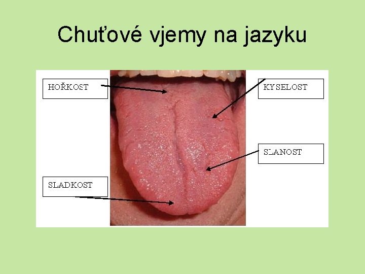 Chuťové vjemy na jazyku 