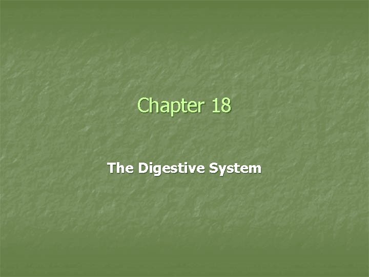 Chapter 18 The Digestive System 