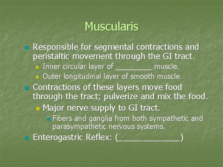 Muscularis n Responsible for segmental contractions and peristaltic movement through the GI tract. n