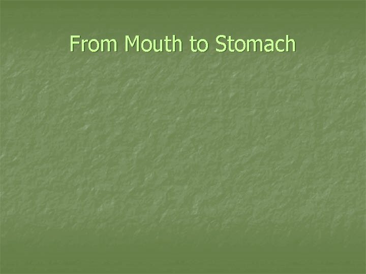 From Mouth to Stomach 