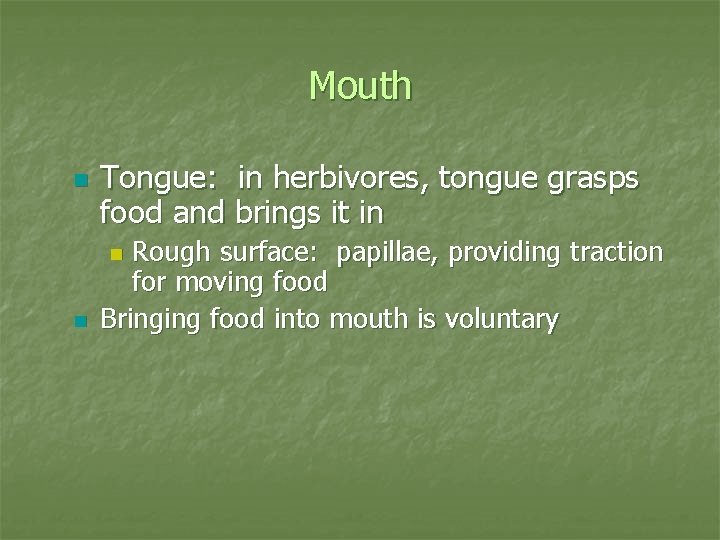 Mouth n Tongue: in herbivores, tongue grasps food and brings it in Rough surface: