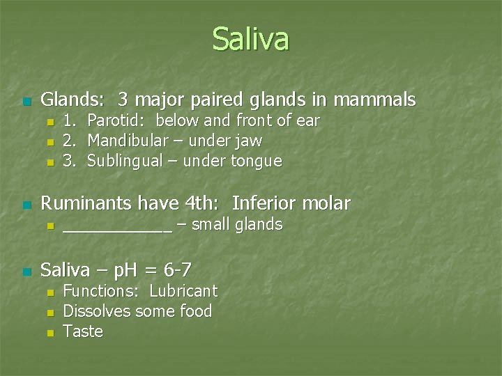 Saliva n Glands: 3 major paired glands in mammals n n Ruminants have 4