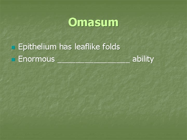 Omasum n n Epithelium has leaflike folds Enormous ________ ability 