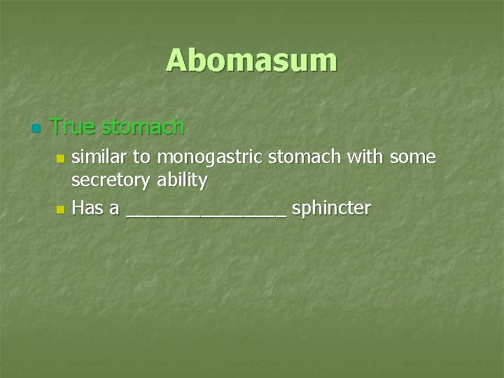 Abomasum n True stomach similar to monogastric stomach with some secretory ability n Has