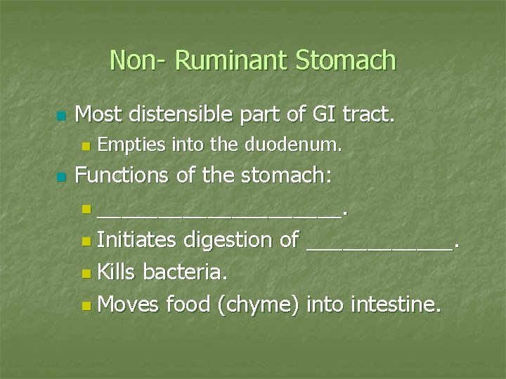 Non- Ruminant Stomach n Most distensible part of GI tract. n n Empties into
