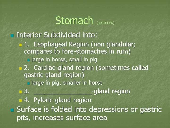 Stomach n (continued) Interior Subdivided into: n 1. Esophageal Region (non glandular; compares to