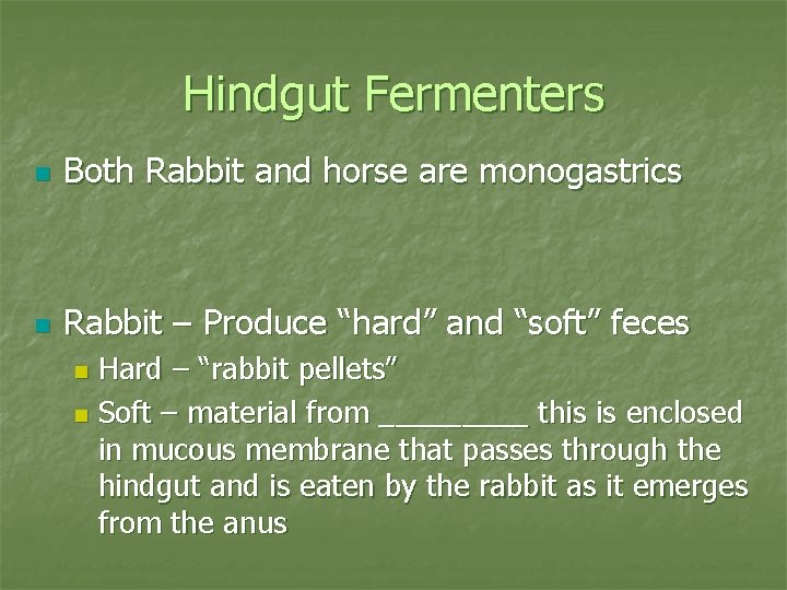 Hindgut Fermenters n Both Rabbit and horse are monogastrics n Rabbit – Produce “hard”