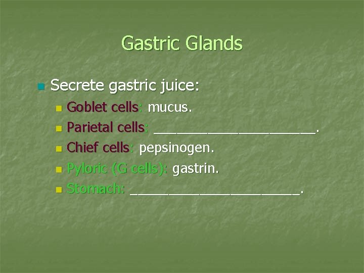 Gastric Glands n Secrete gastric juice: Goblet cells: mucus. n Parietal cells: ___________. n