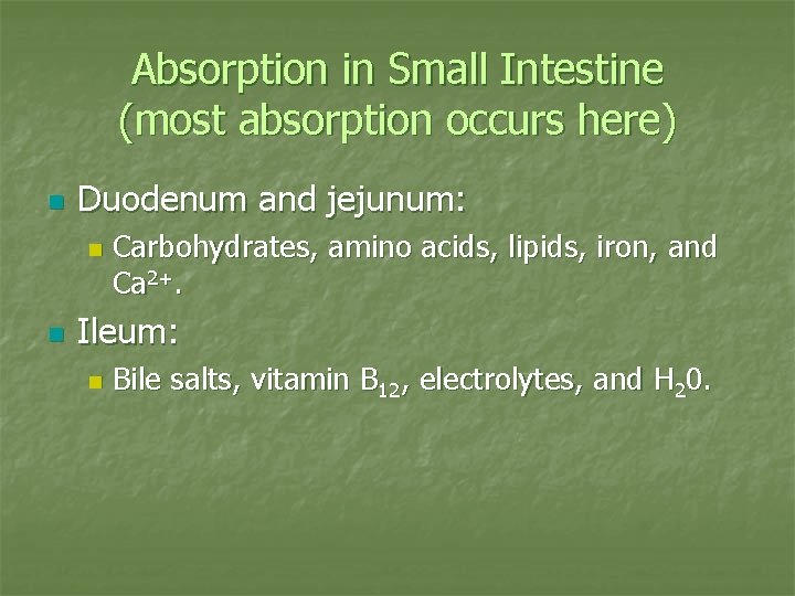 Absorption in Small Intestine (most absorption occurs here) n Duodenum and jejunum: n n