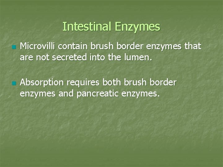 Intestinal Enzymes n n Microvilli contain brush border enzymes that are not secreted into