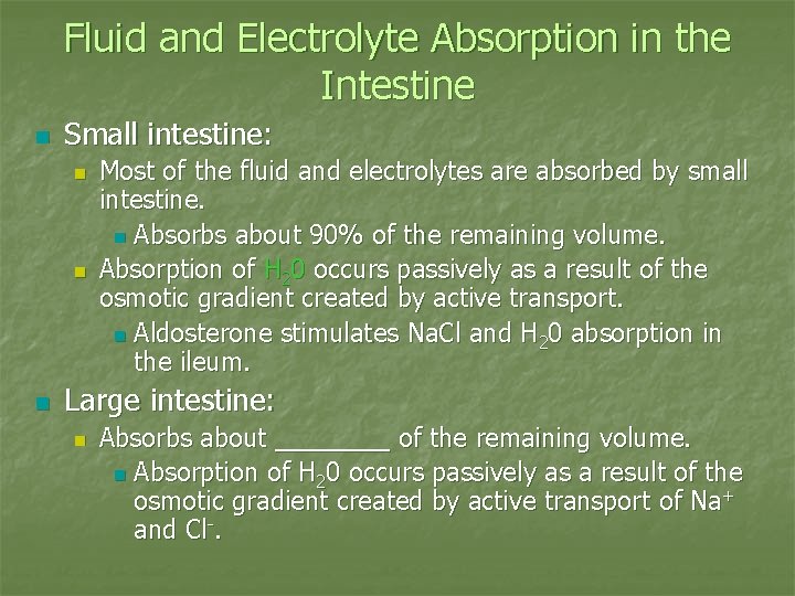 Fluid and Electrolyte Absorption in the Intestine n Small intestine: n n n Most