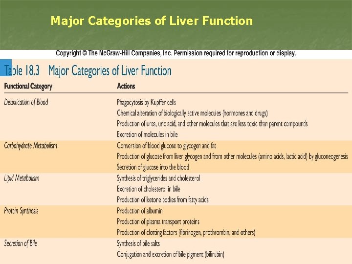 Major Categories of Liver Function 