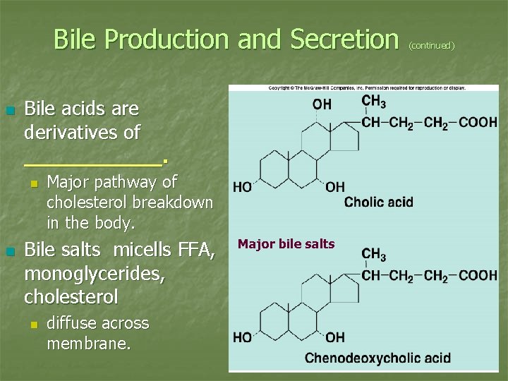 Bile Production and Secretion n Bile acids are derivatives of ______. n n n