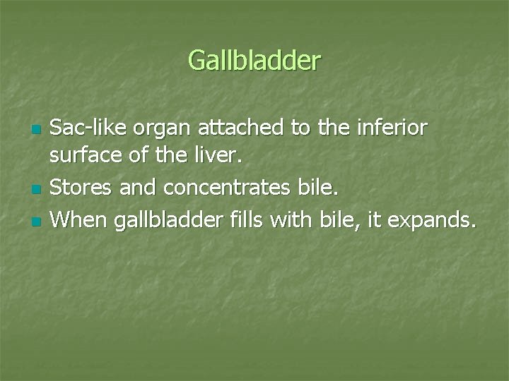 Gallbladder n n n Sac-like organ attached to the inferior surface of the liver.