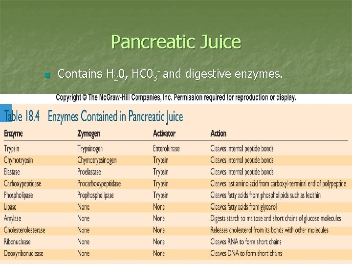 Pancreatic Juice n Contains H 20, HC 03 - and digestive enzymes. 