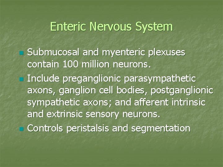 Enteric Nervous System n n n Submucosal and myenteric plexuses contain 100 million neurons.
