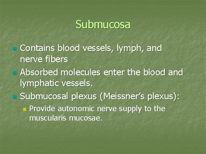 Submucosa n n n Contains blood vessels, lymph, and nerve fibers Absorbed molecules enter
