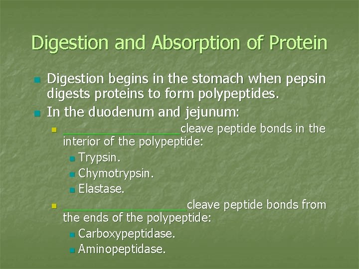 Digestion and Absorption of Protein n n Digestion begins in the stomach when pepsin