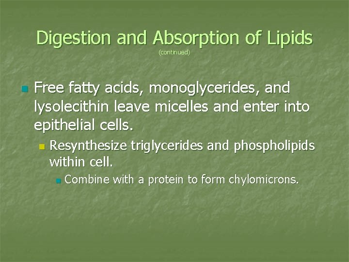 Digestion and Absorption of Lipids (continued) n Free fatty acids, monoglycerides, and lysolecithin leave