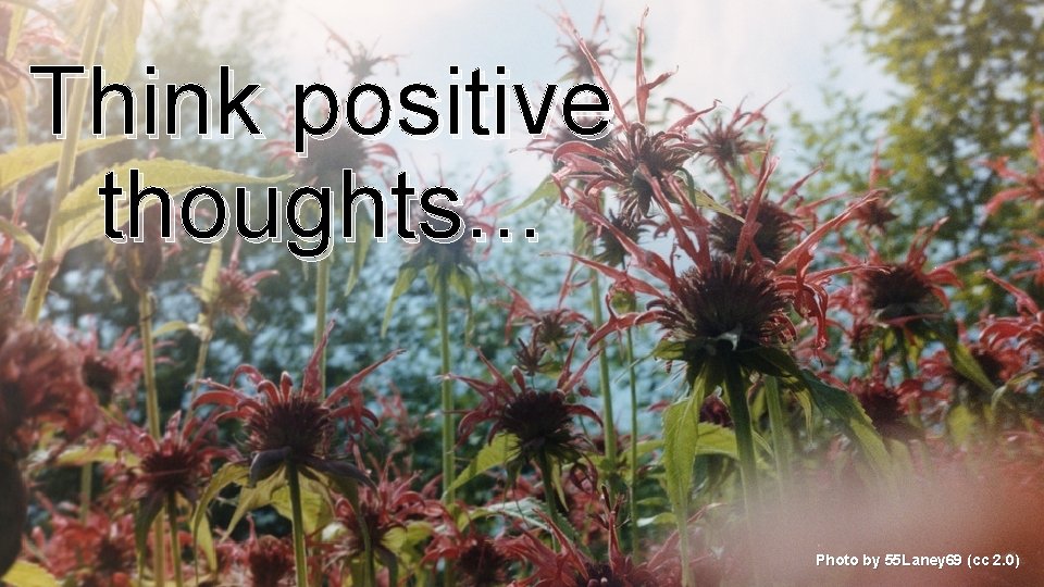 Think positive thoughts. . . Photo by 55 Laney 69 (cc 2. 0) 