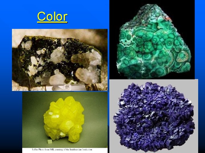 Color Color