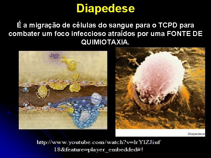 Diapedese É a migração de células do sangue para o TCPD para combater um