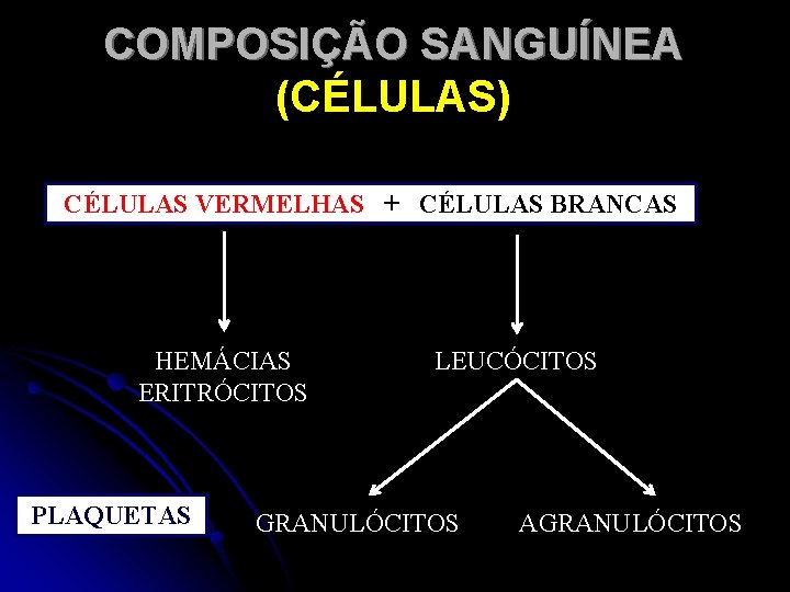 COMPOSIÇÃO SANGUÍNEA (CÉLULAS) CÉLULAS VERMELHAS + CÉLULAS BRANCAS HEMÁCIAS ERITRÓCITOS PLAQUETAS LEUCÓCITOS GRANULÓCITOS AGRANULÓCITOS