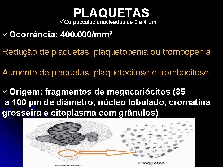 PLAQUETAS üCorpúsculos anucleados de 2 a 4 µm üOcorrência: 400. 000/mm 3 Redução de