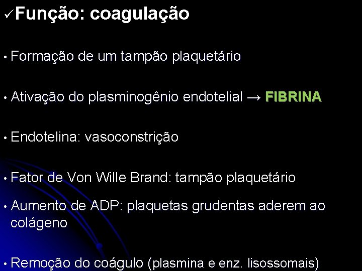 üFunção: coagulação • Formação de um tampão plaquetário • Ativação do plasminogênio endotelial →