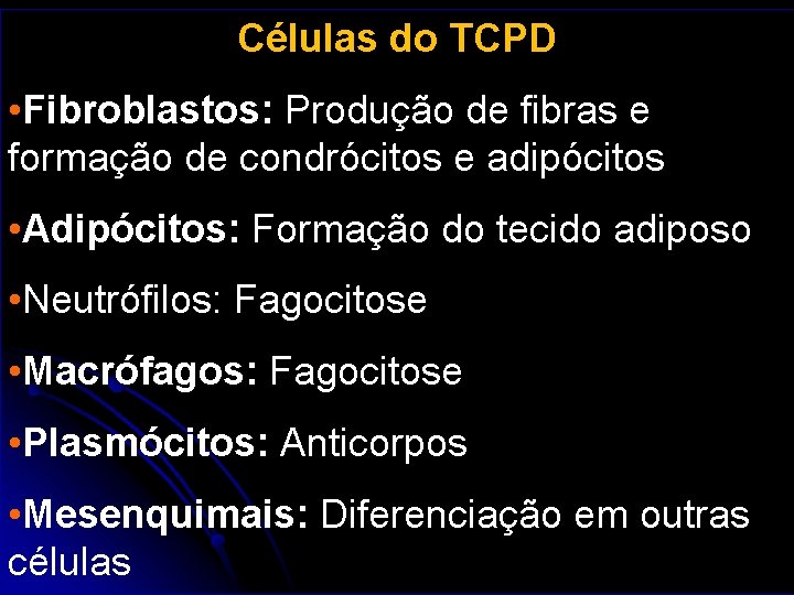 Células do TCPD • Fibroblastos: Produção de fibras e formação de condrócitos e adipócitos