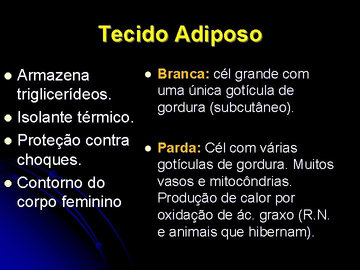 Tecido Adiposo Armazena triglicerídeos. l Isolante térmico. l Proteção contra choques. l Contorno do