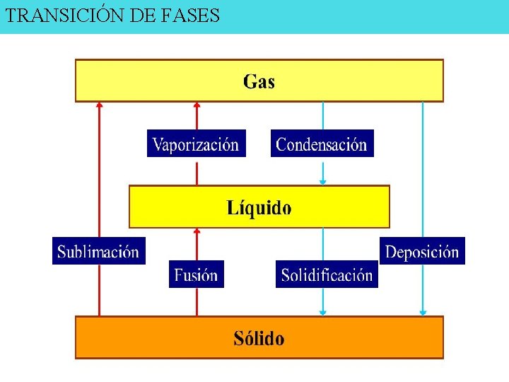 TRANSICIÓN DE FASES 