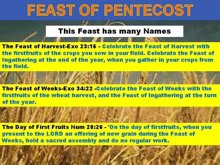 FEAST OF PENTECOST This Feast has many Names The Feast of Harvest-Exo 23: 16