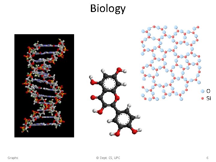 Biology Graphs © Dept. CS, UPC 6 