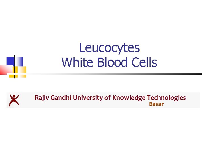 Leucocytes White Blood Cells Basar 