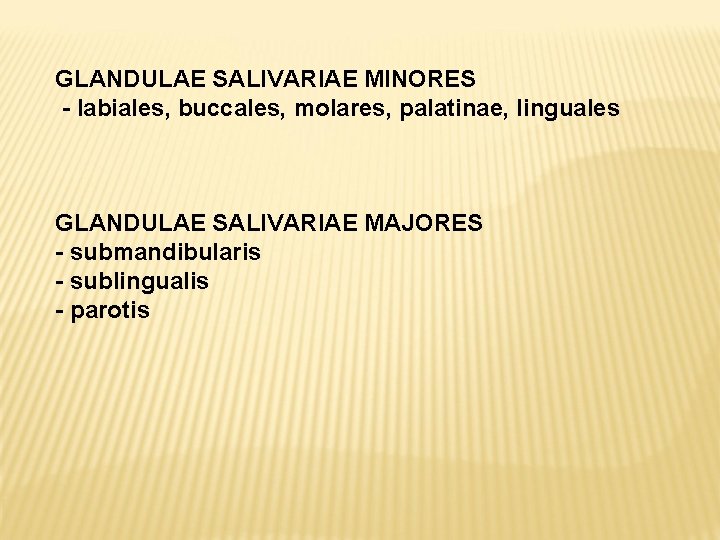 GLANDULAE SALIVARIAE MINORES - labiales, buccales, molares, palatinae, linguales GLANDULAE SALIVARIAE MAJORES - submandibularis