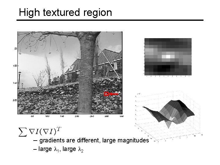 High textured region – gradients are different, large magnitudes – large l 1, large