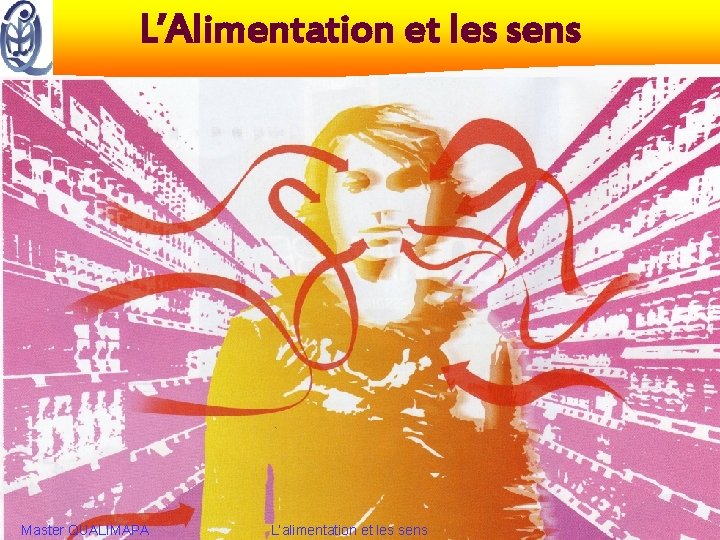 L’Alimentation et les sens Master QUALIMAPA L’alimentation et les sens 15 décembre 2004 