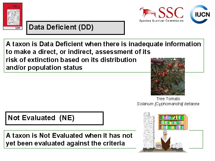 Data Deficient (DD) A taxon is Data Deficient when there is inadequate information to