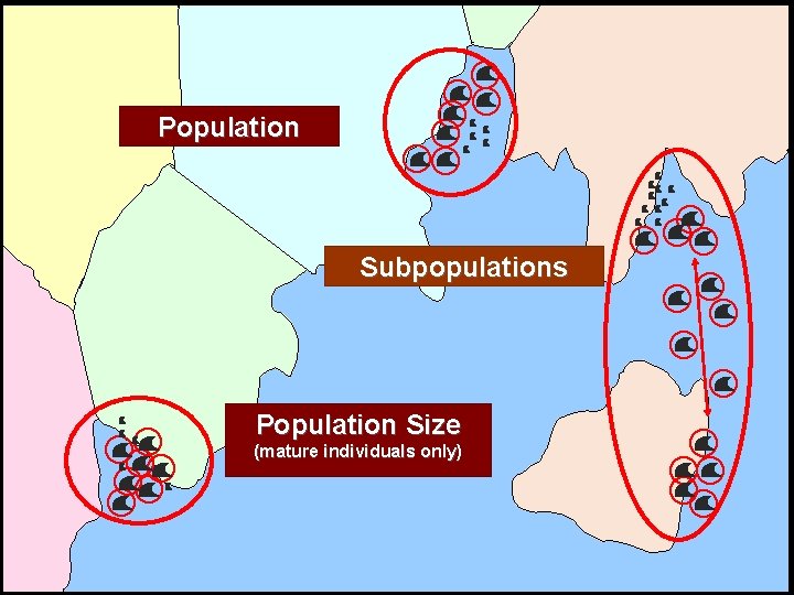 Population Subpopulations Population Size (mature individuals only) IUCN (International Union for Conservation of Nature)