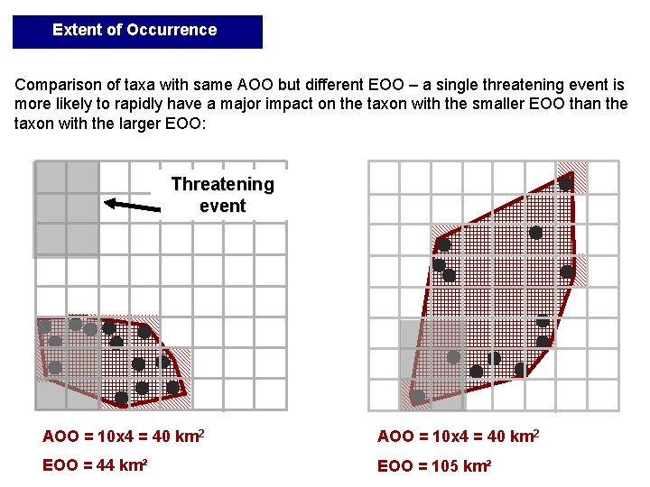 Extent of Occurrence Comparison of taxa with same AOO but different EOO – a