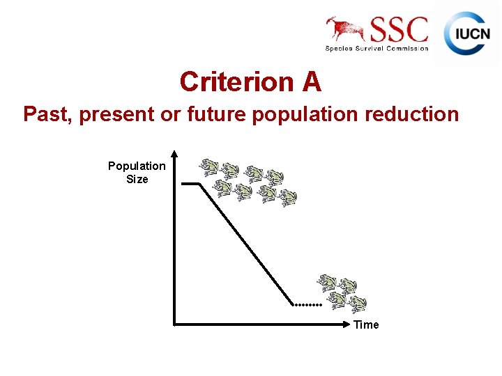 Criterion A Past, present or future population reduction Population Size Time IUCN (International Union