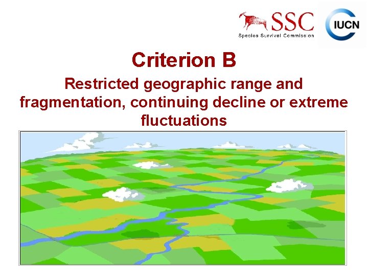 Criterion B Restricted geographic range and fragmentation, continuing decline or extreme fluctuations IUCN (International