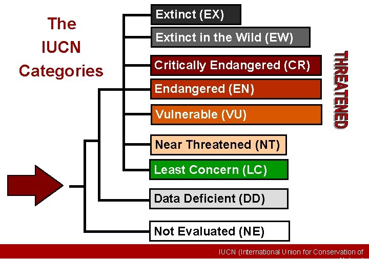 The IUCN Categories Extinct (EX) Extinct in the Wild (EW) Critically Endangered (CR) Endangered